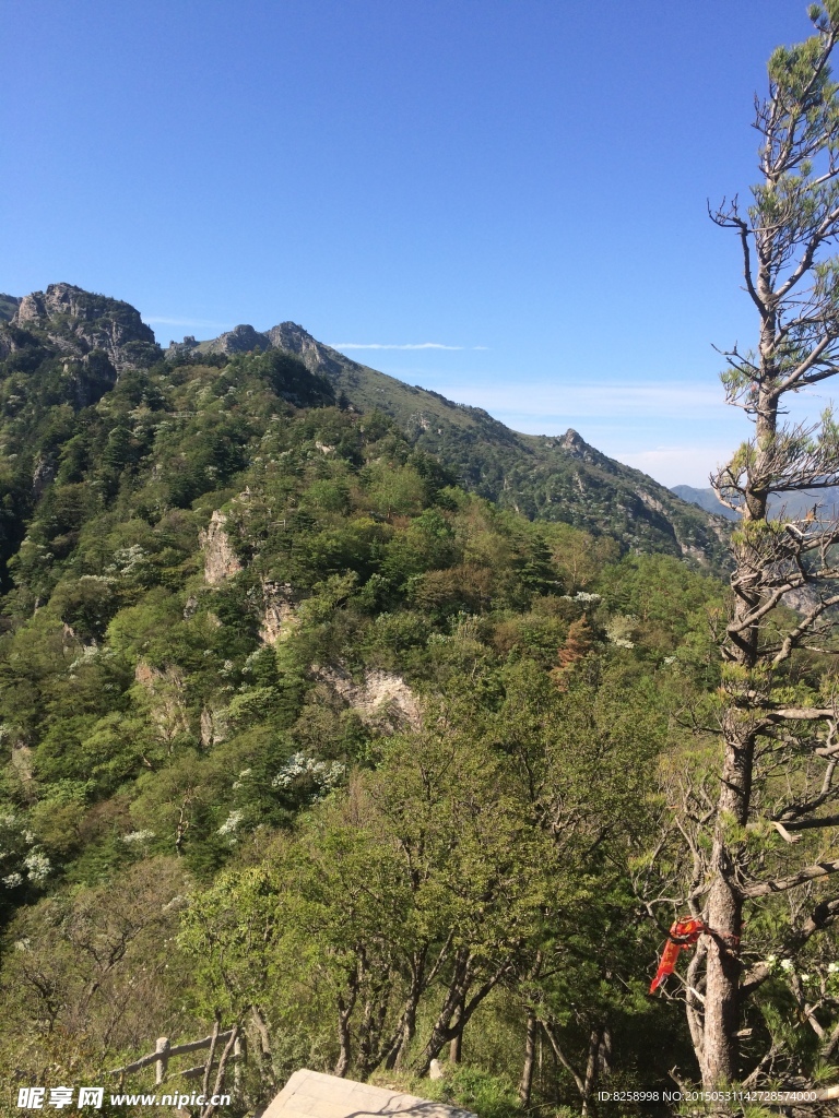 大自然风景