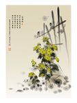 矢量彩绘菊花