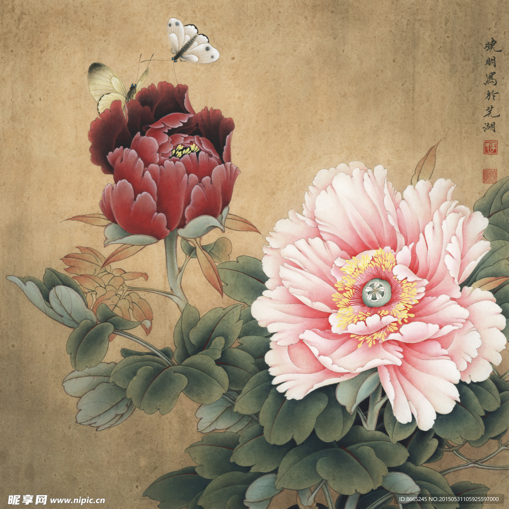 工笔牡丹