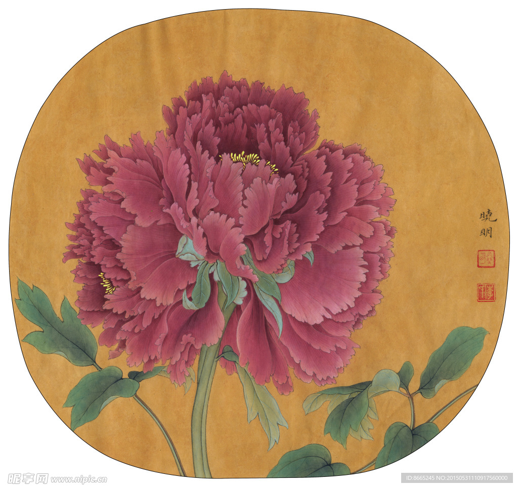 工笔牡丹