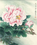 工笔牡丹
