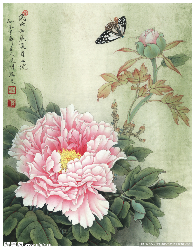 工笔牡丹