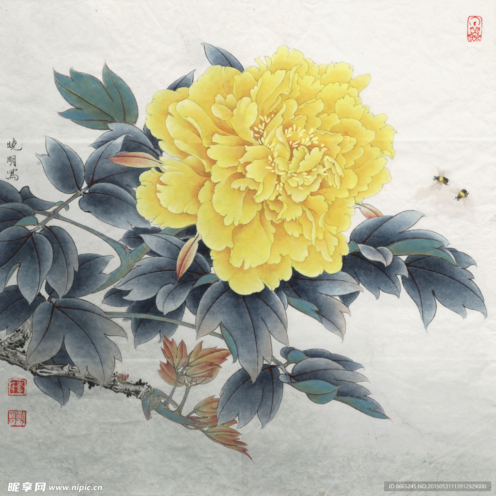 工笔牡丹