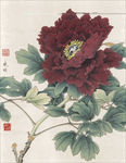 工笔牡丹