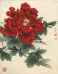 工笔牡丹