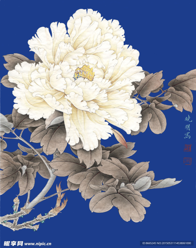 工笔牡丹