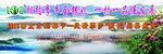 信宜品果节舞台背景