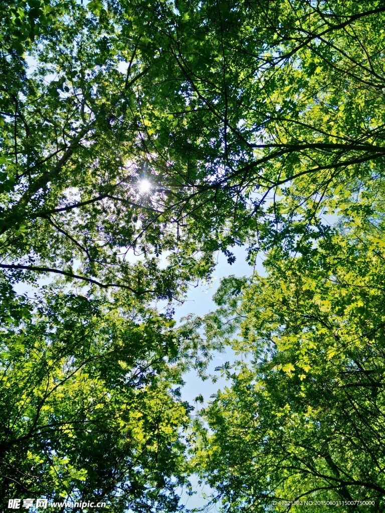 自然风景