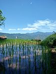自然风景
