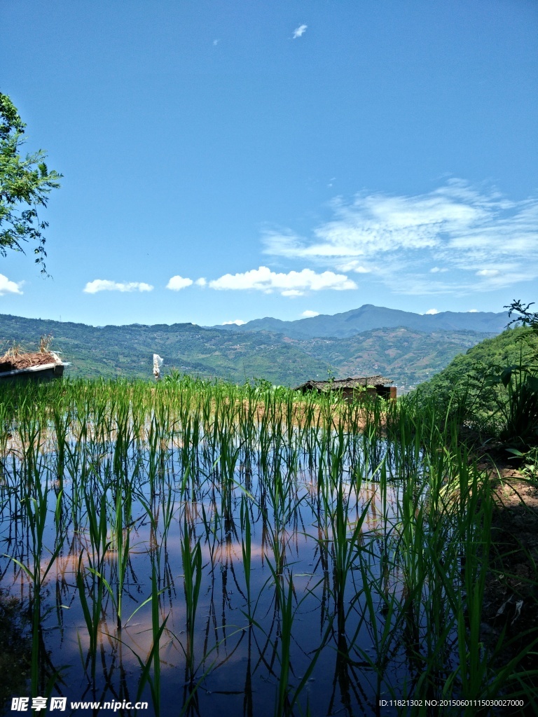 自然风景