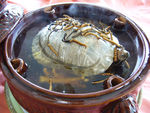 虫草甲鱼汤