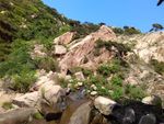 碧水蓝天