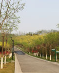 公园风景