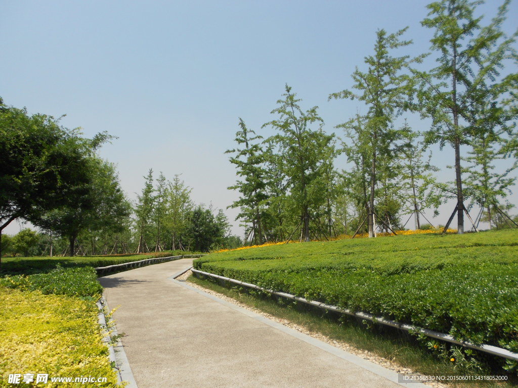 自然风景