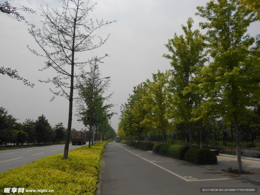 城市风景