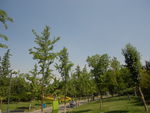 公园风景