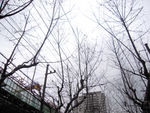 街景