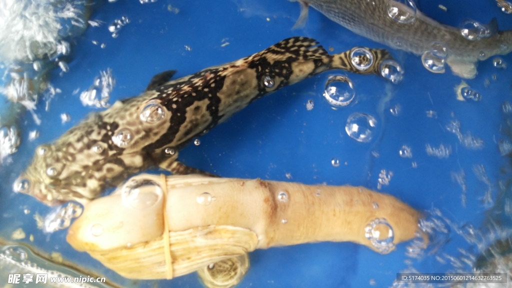 浙江 东海游