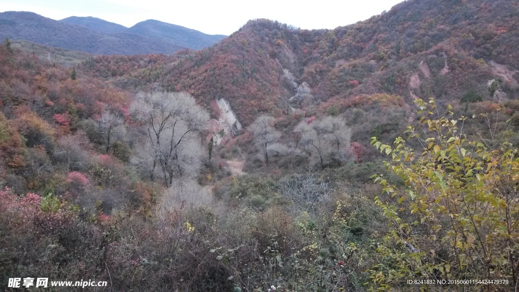 山峦景观