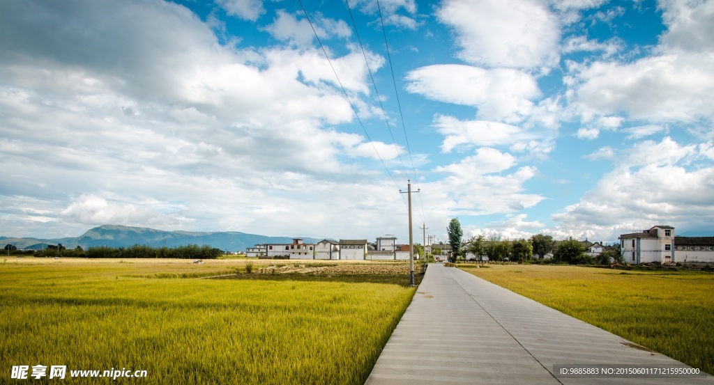 乡间公路