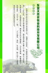 企业简介