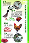 畜牧产品