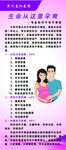 生命从这里孕育
