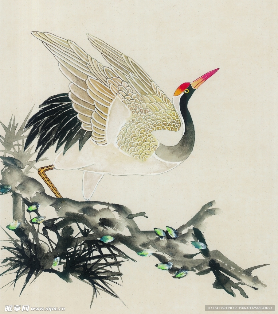 仙鹤工笔绘画素材