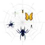蜘蛛网矢量图