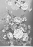 背白花卉。