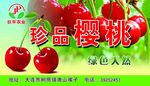 巨平樱桃包装贴