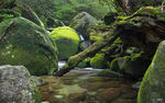 山水