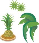 矢量菠萝 树叶
