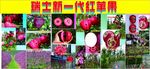 瑞士新一代红苹果