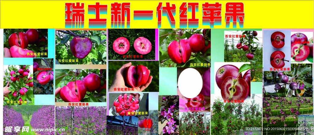 瑞士新一代红苹果