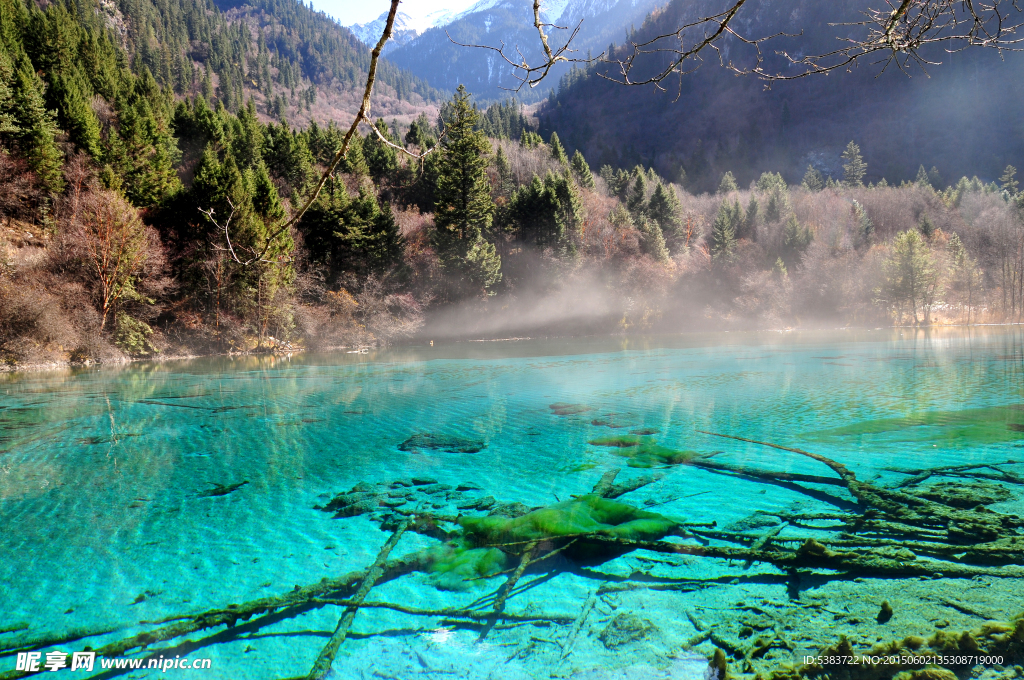 箭竹海