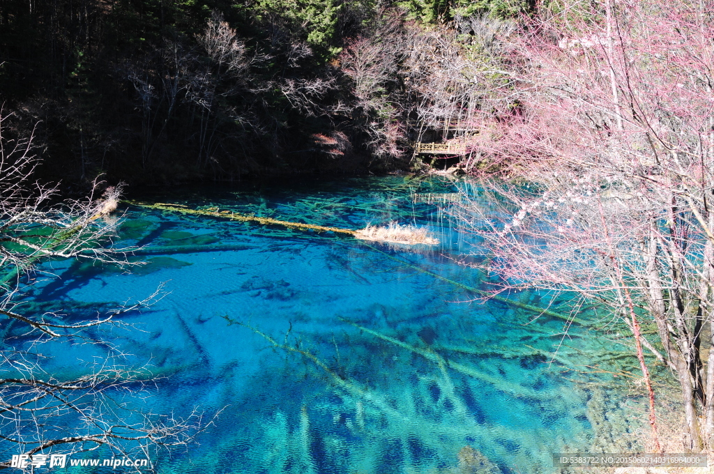 五花海