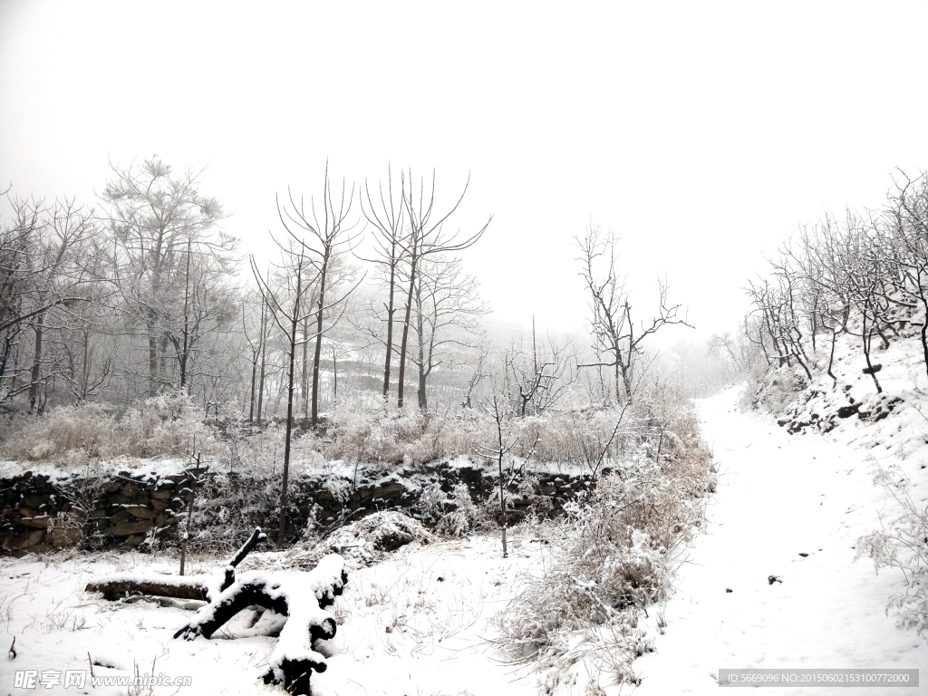 雪景图片