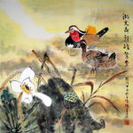 荷花