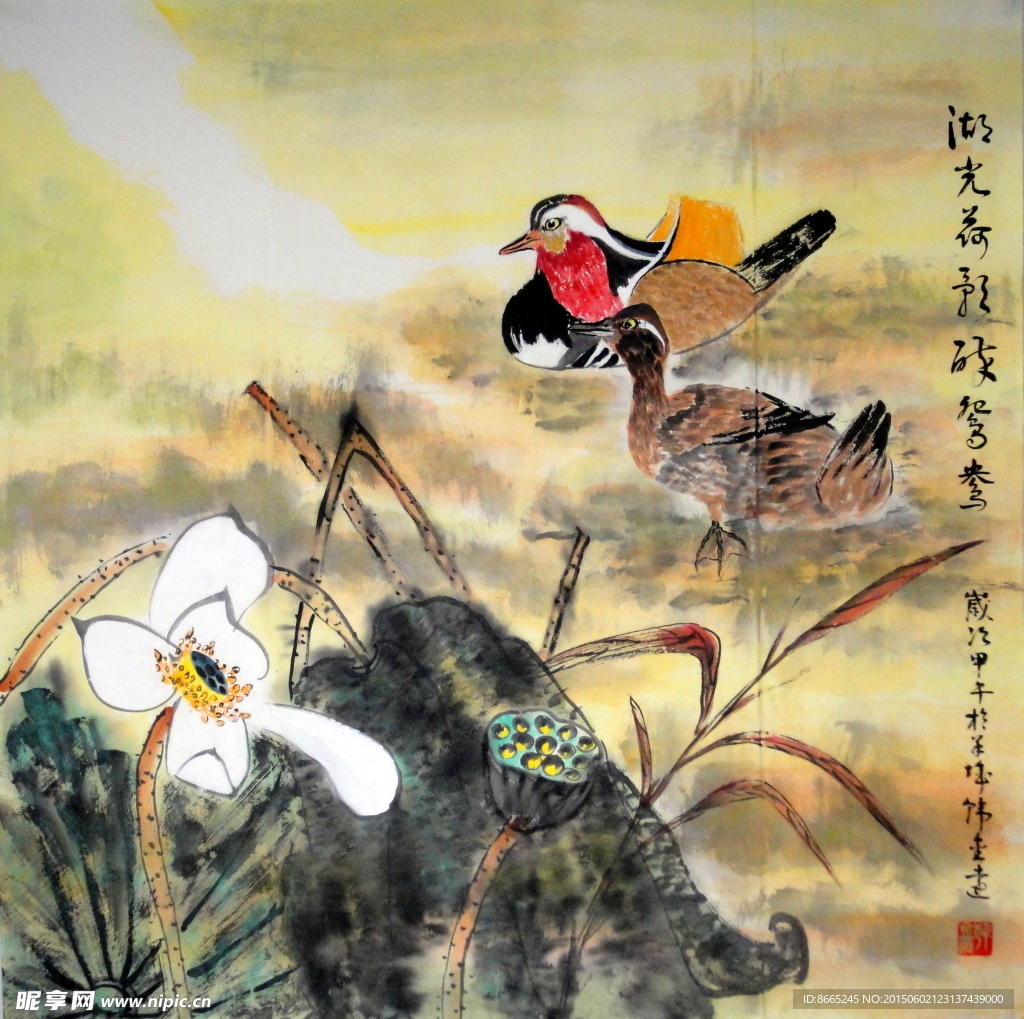 荷花