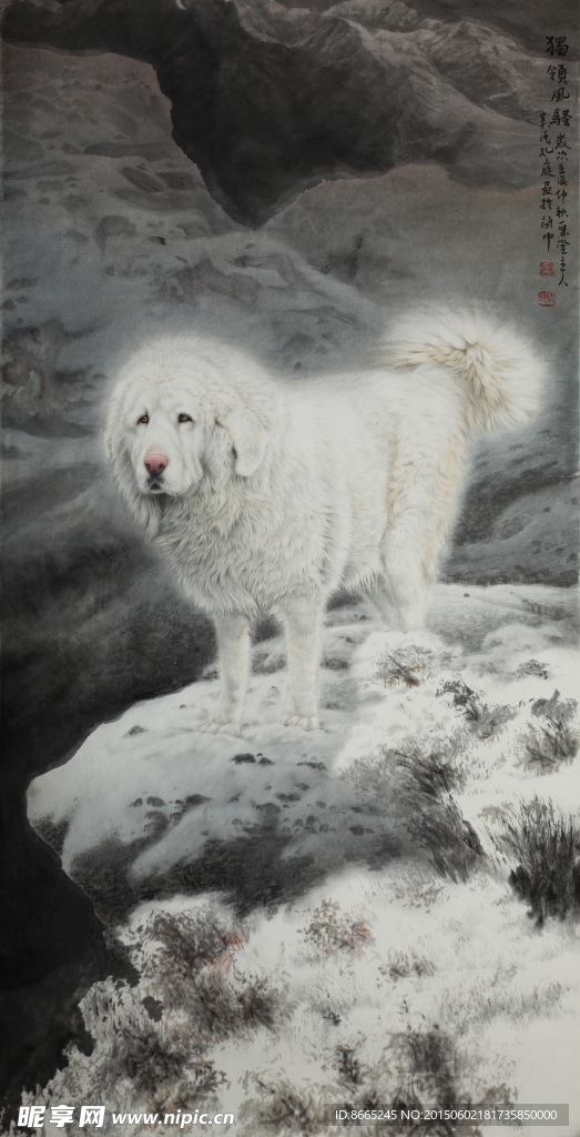 獒犬