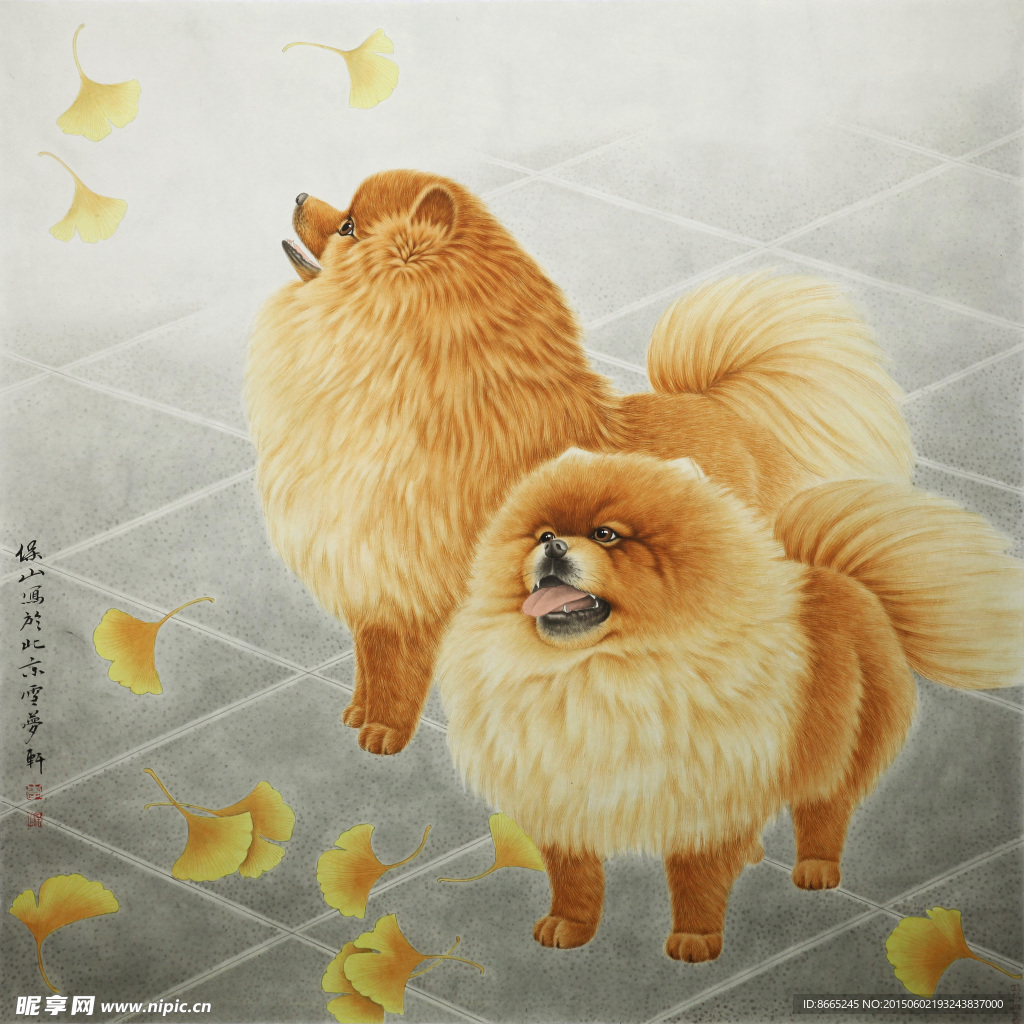 藏獒