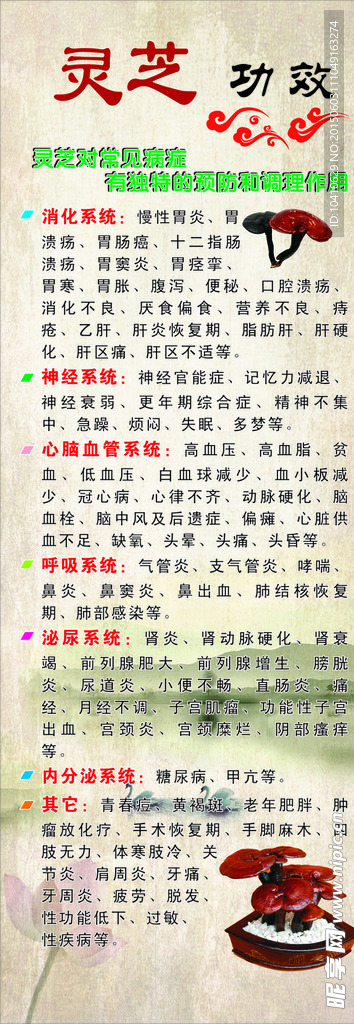 灵芝
