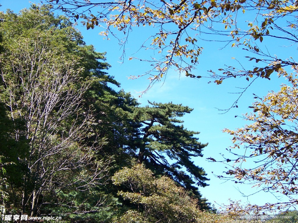 尧山