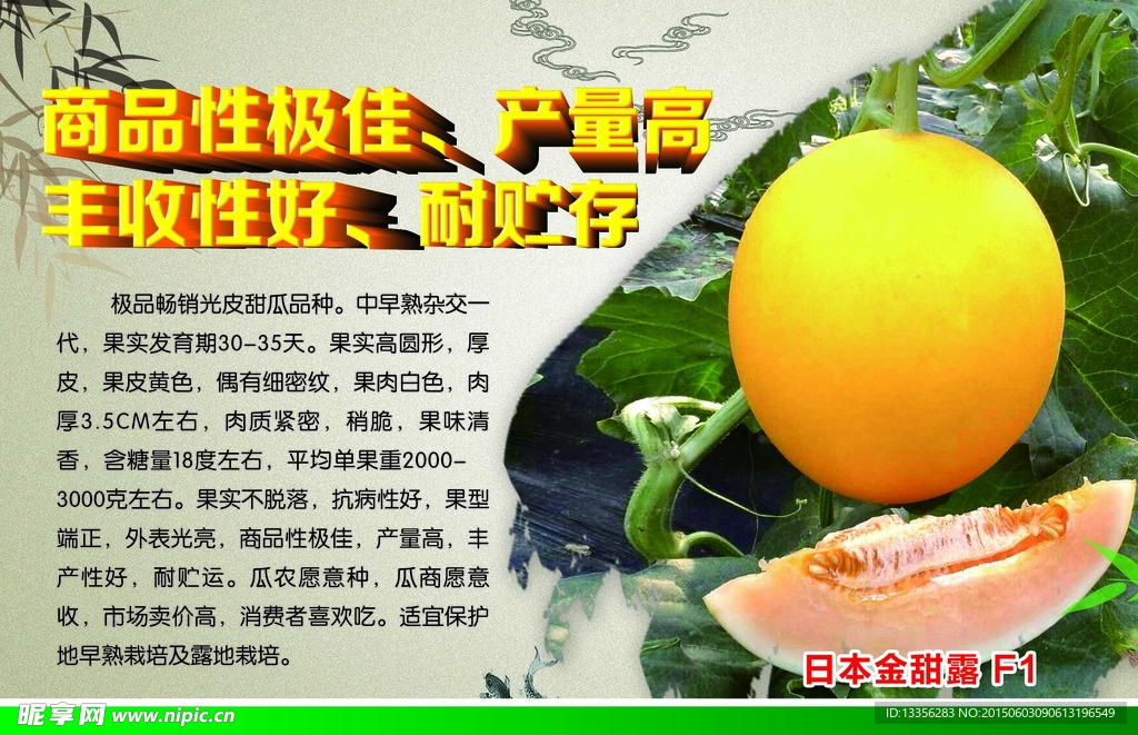 甜瓜宣传