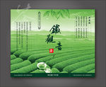 铁观音-茶叶