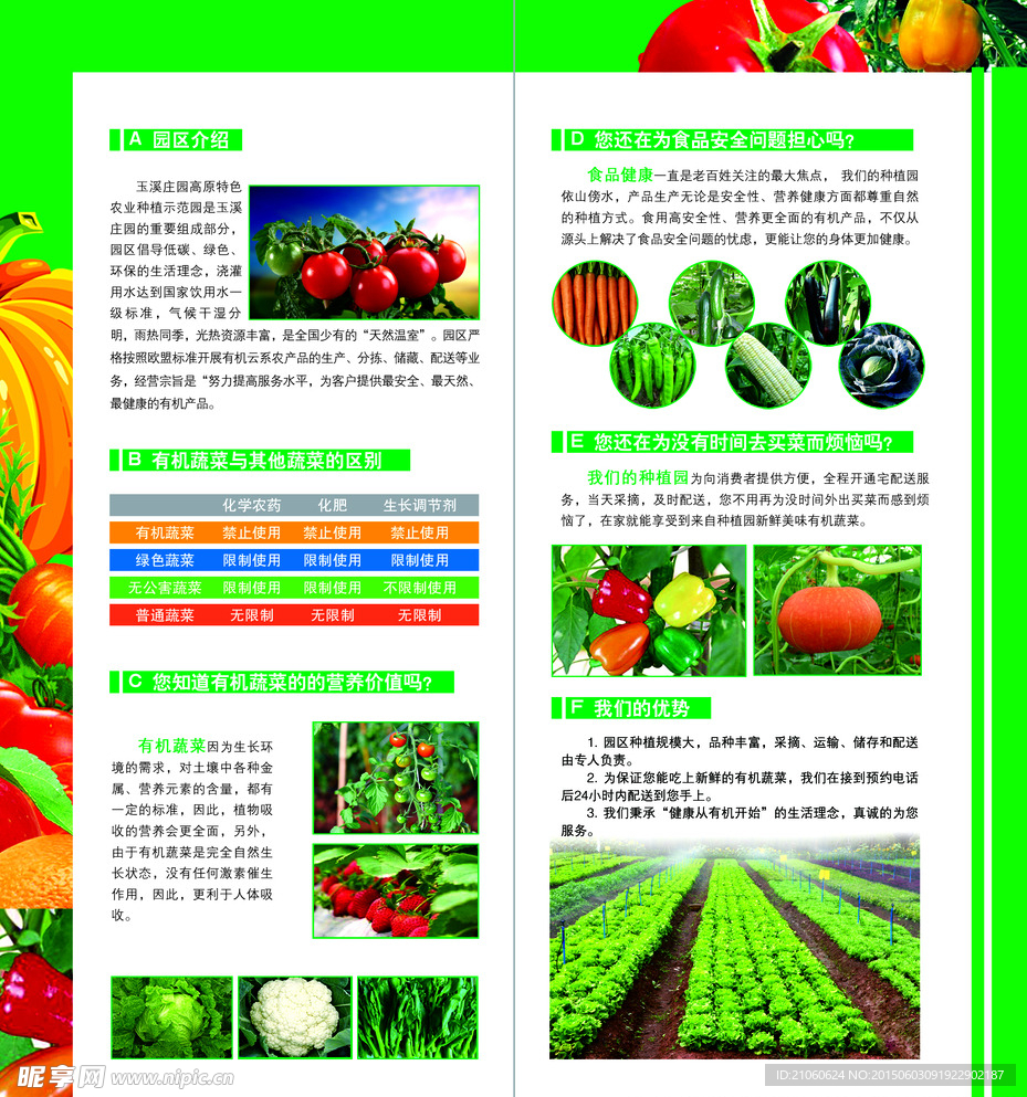 蔬菜宣传三折页