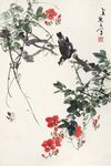 八哥鸟