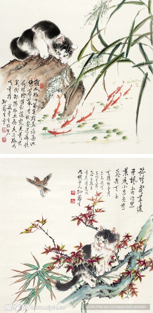 猫趣二帧