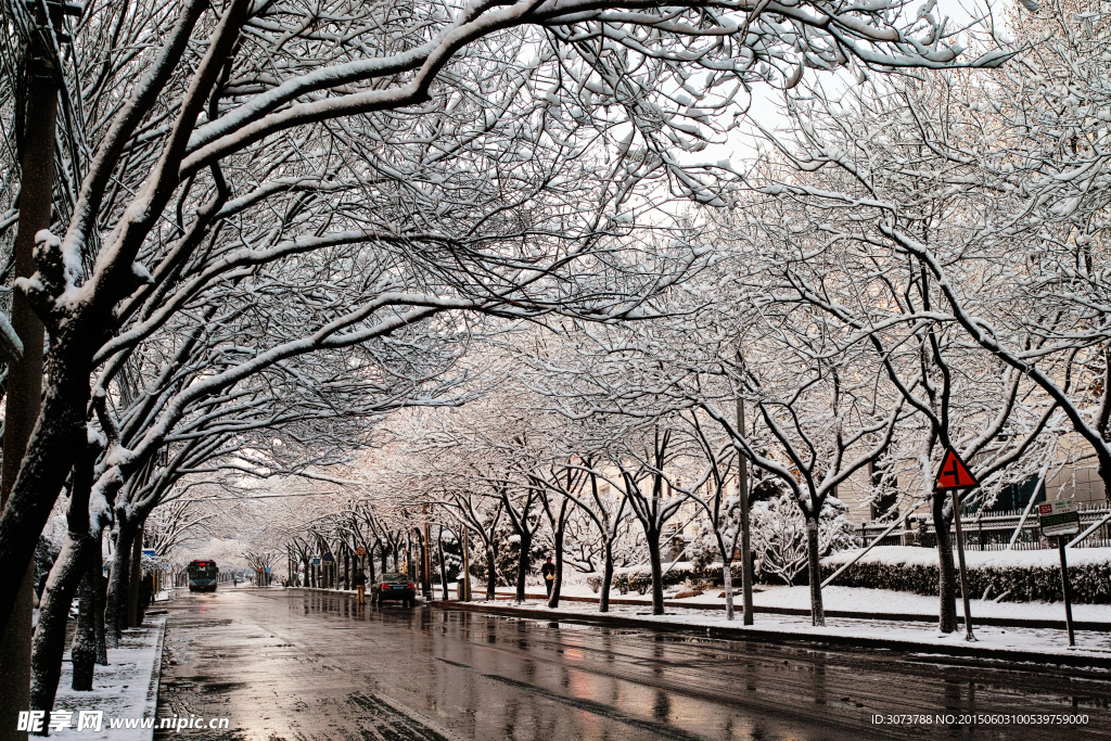 京城雪景